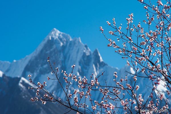 去西藏旅游大概多少钱