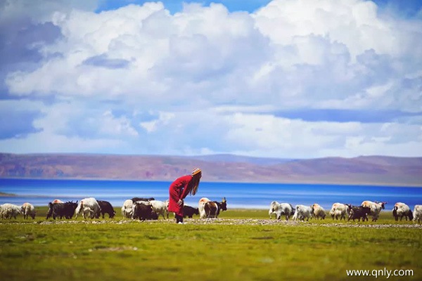 去一趟西藏多少钱