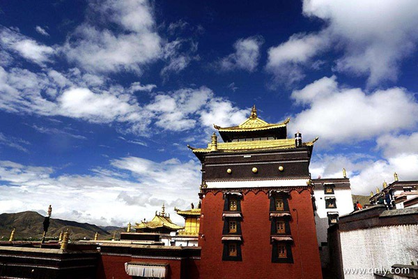 各地去西藏旅游团