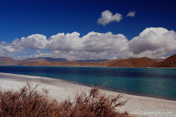 上海去西藏需要多少钱