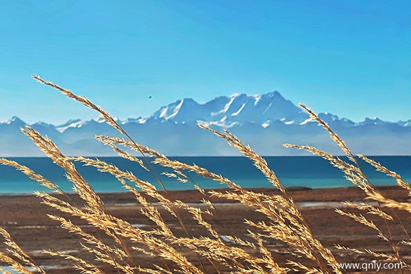 去西藏旅游报团多少钱