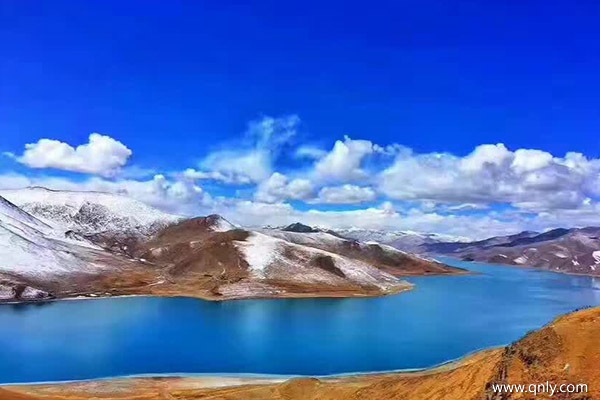 去西藏报团多少钱