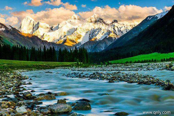 去西藏报团多少钱