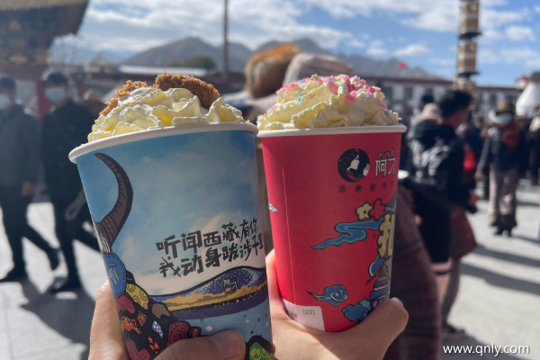 去拉萨旅游需要多少钱