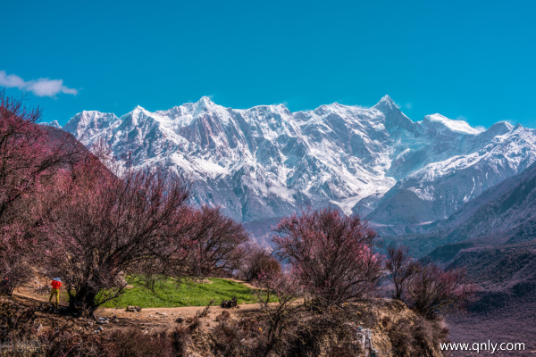 去西藏旅游多少钱