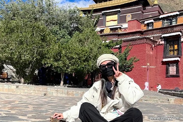 成都去西藏旅游的费用？